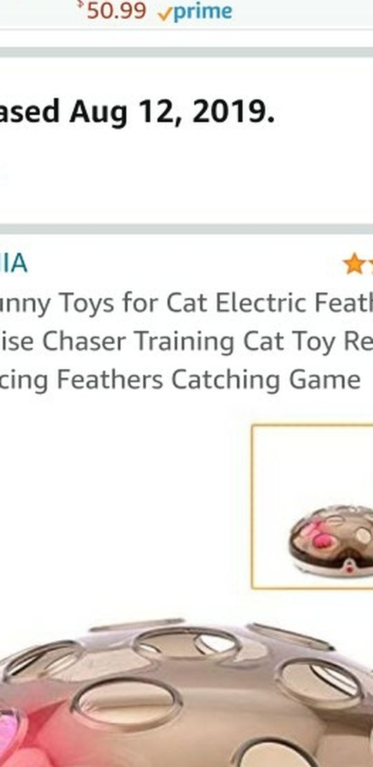 Interactive Funny Toys for Cat
