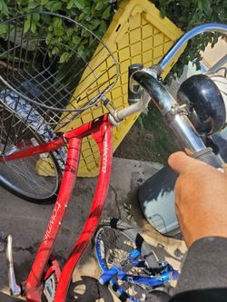 Beach Cruiser