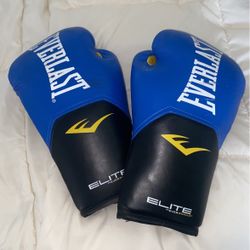 Everlast Boxing Gloves 