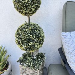 Outdoor Home And Garden