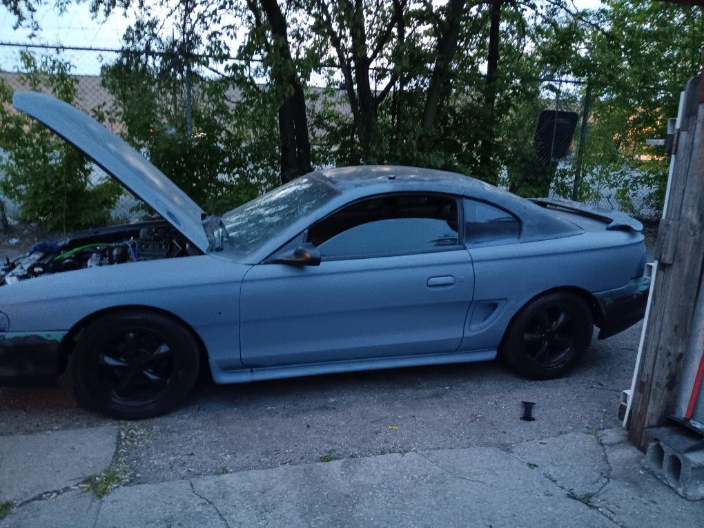 Mustang