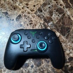 Nintendo Switch Pro Controller 