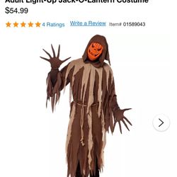 Adult Costume