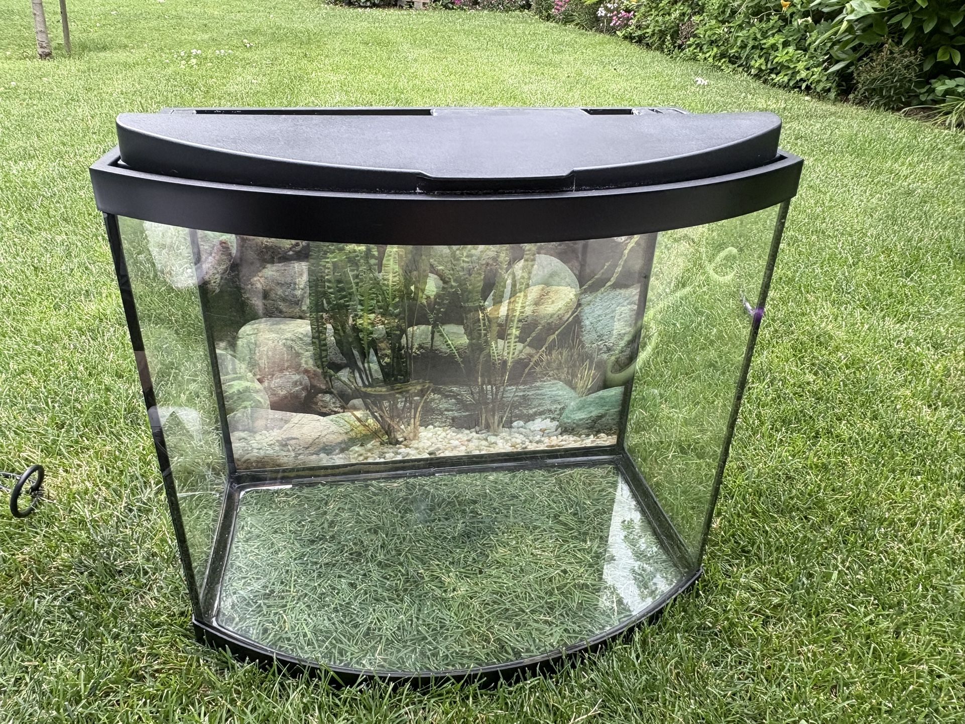 Bow Front Aquarium Setup – Filter, LED, Extras – $90 OBO