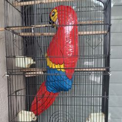 Bird Cage