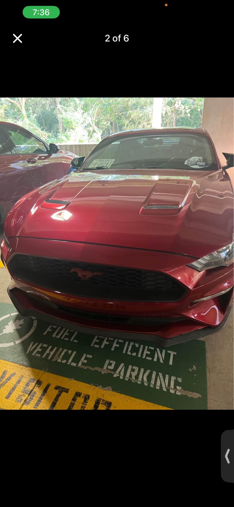 2019 Ford Mustang