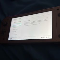 Nintendo Switch Lite