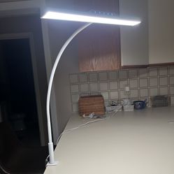 Desk Light