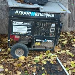 Hybrid Electric Start 10.000watts 