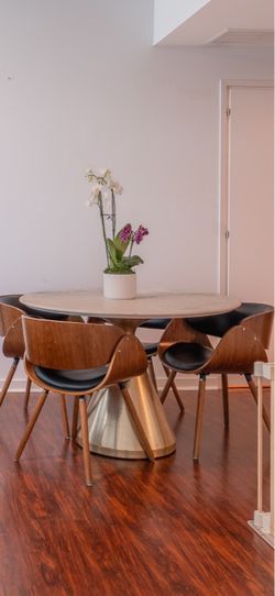 4 - Dinning Room Chairs