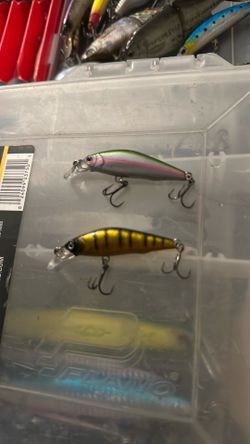 Small trout jerkbaits