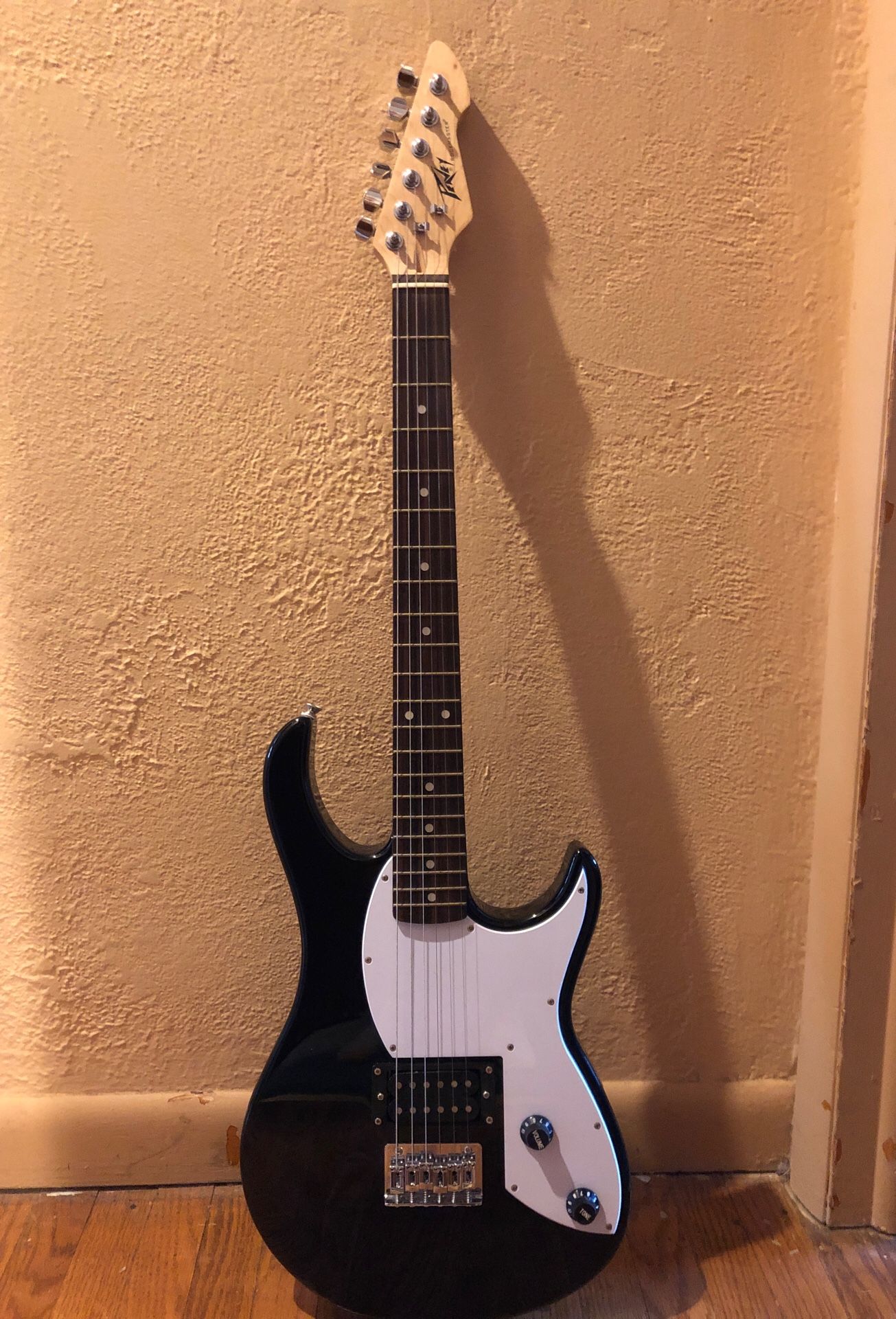 Peavey Rockmaster