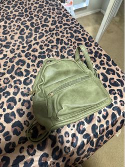 mini backpacks (2)