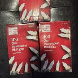Holiday Lights