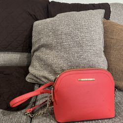 Steve Madden Purse