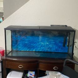 50 Gallons Fish Tank