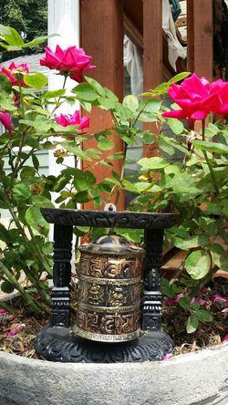 Prayer wheel