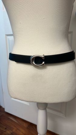 Coach belt