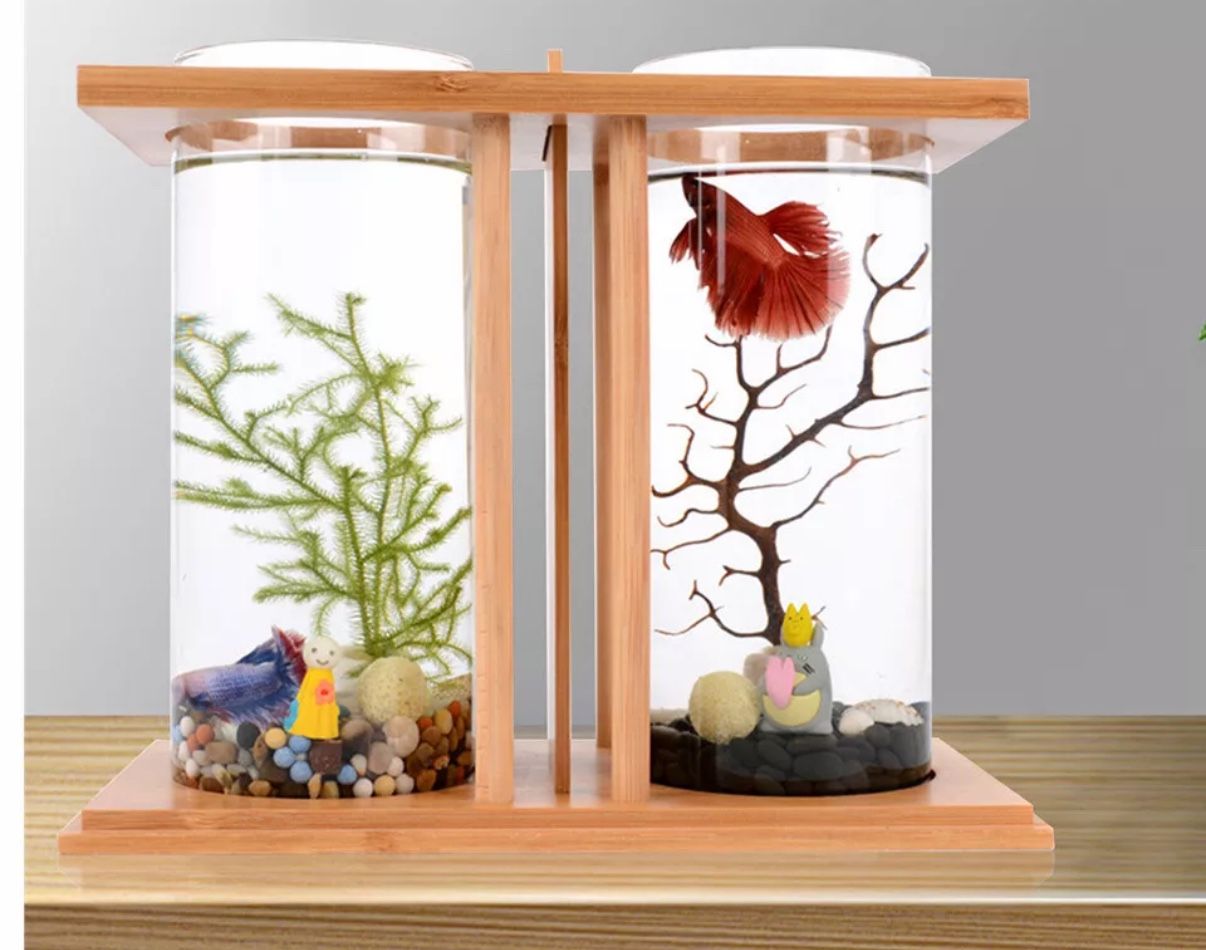 🚨Aquarium Tank 🚨