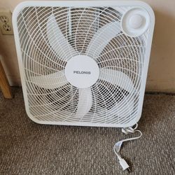 Fan