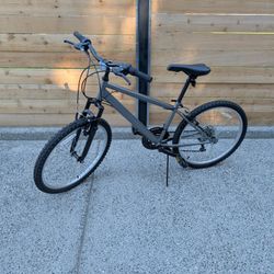 Gray Bike