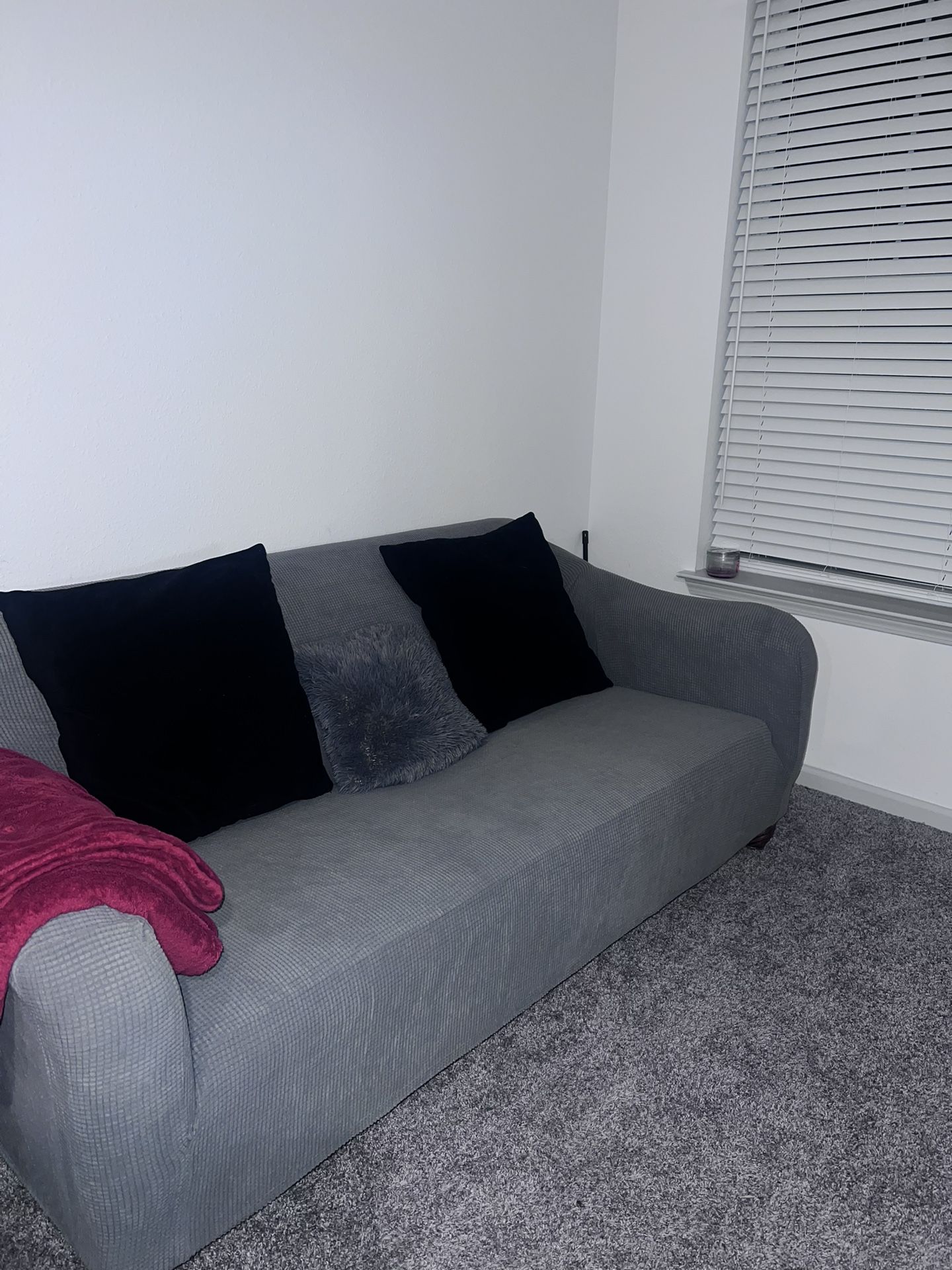Couch/pull out bed
