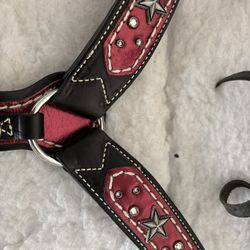 Horse tack