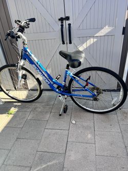 Shwinn Bike