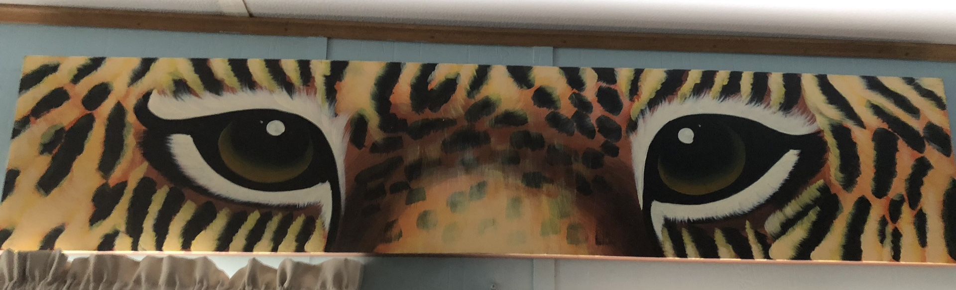 Tiger And Leopard Eye Pictures