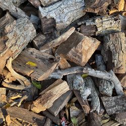 Camping Desert Bonfire Outdoor Woods $15