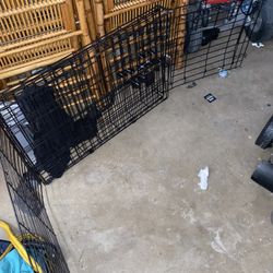 Dog Cage