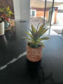 Small fake succulent home decor
