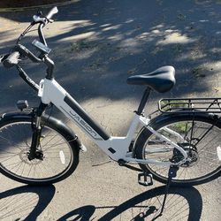 Jasion EB5 Roamer E-bike