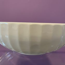 STRAWBERRY STREET oven/microwave/dishwasher safe, porcelain, white 14” x 5”