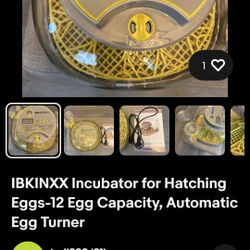 Ibkinxx Incubator for Hatching Eggs