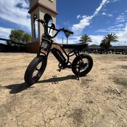 Voltvouge Bk20 Ebike 