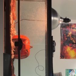 (inside Items Not For Sell) ONLY TANK!