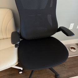 Beautyrest ErgoMax Ergonomic Mesh Swivel Task Chair