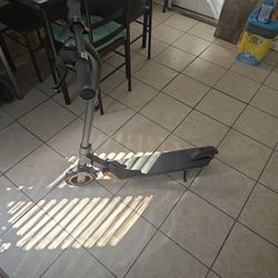 Ninebot E Kick Scooter