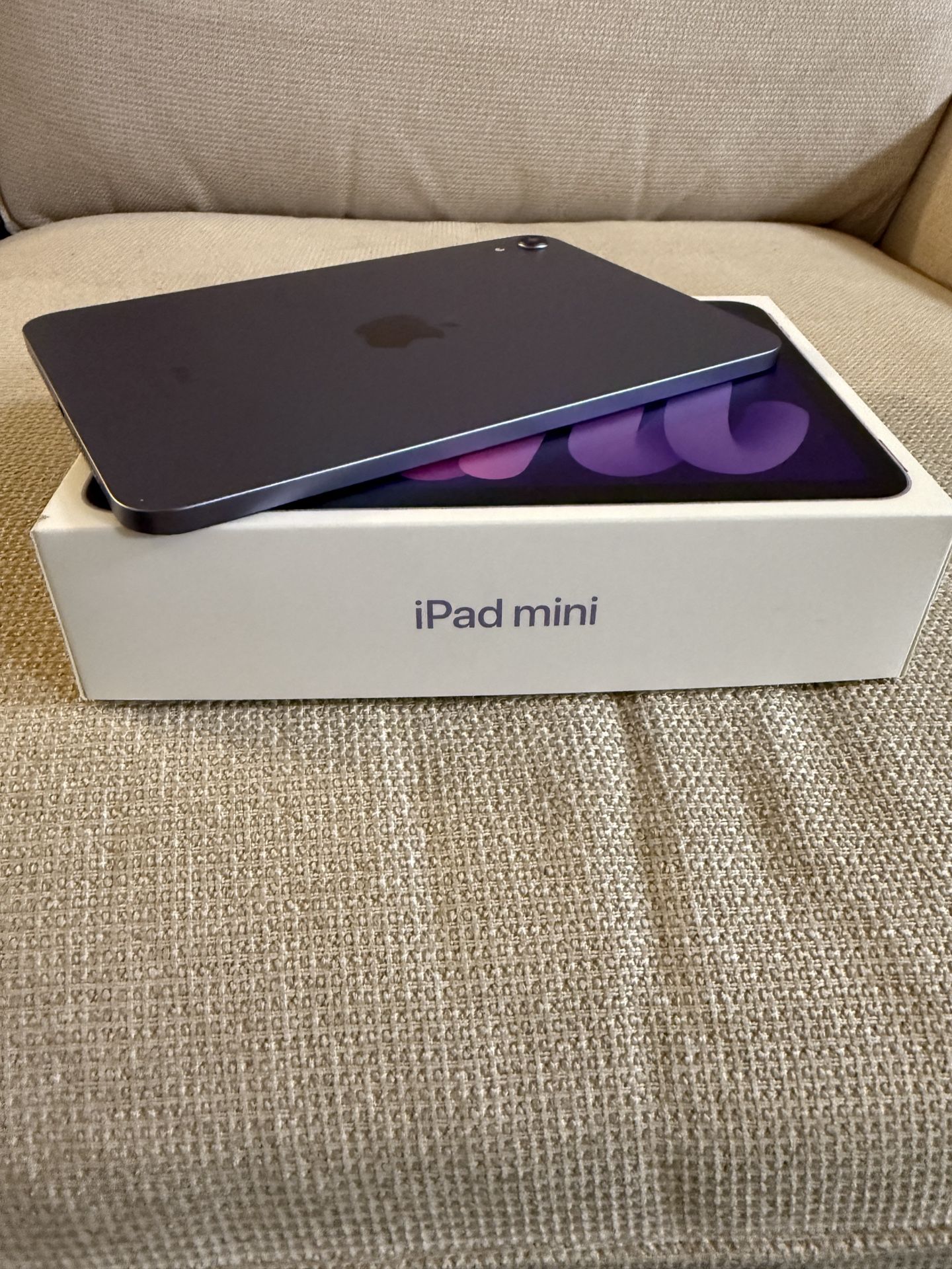 Apple iPad Mini 256GB 6th Gen