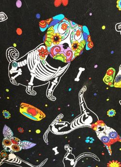 Pet carrier/sling crossbody