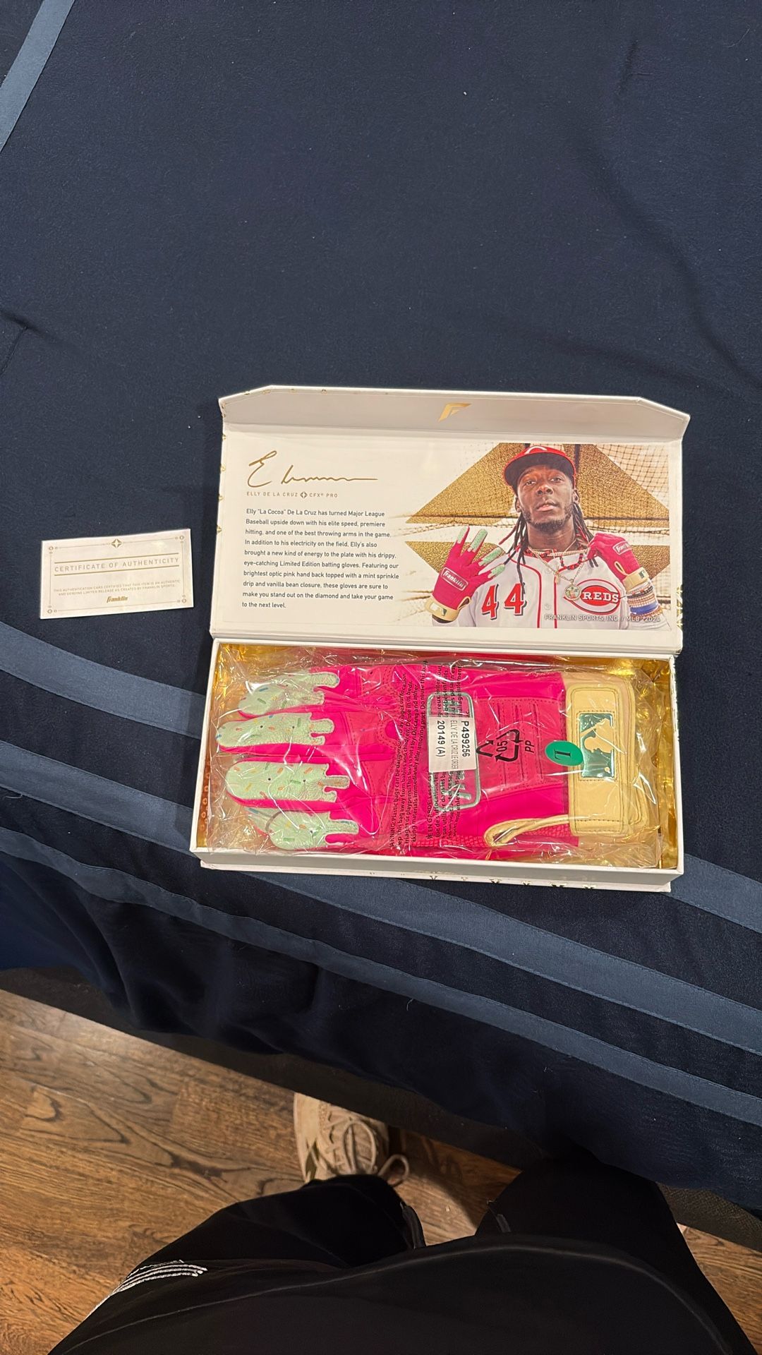 elly de la cruz Gloves