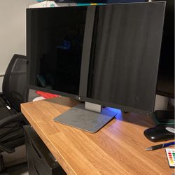 Multiple Computer Monitors 