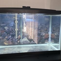 10 Gallon Fishtank / Aquarium w AquaClear Filter