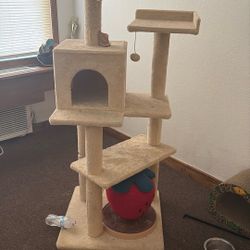 Cat Tree $45