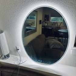 Oval LED Vanity Mirror