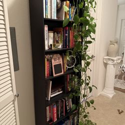 Book Shelves 