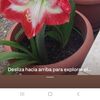 "BELTRÁN 'S GARDEN"