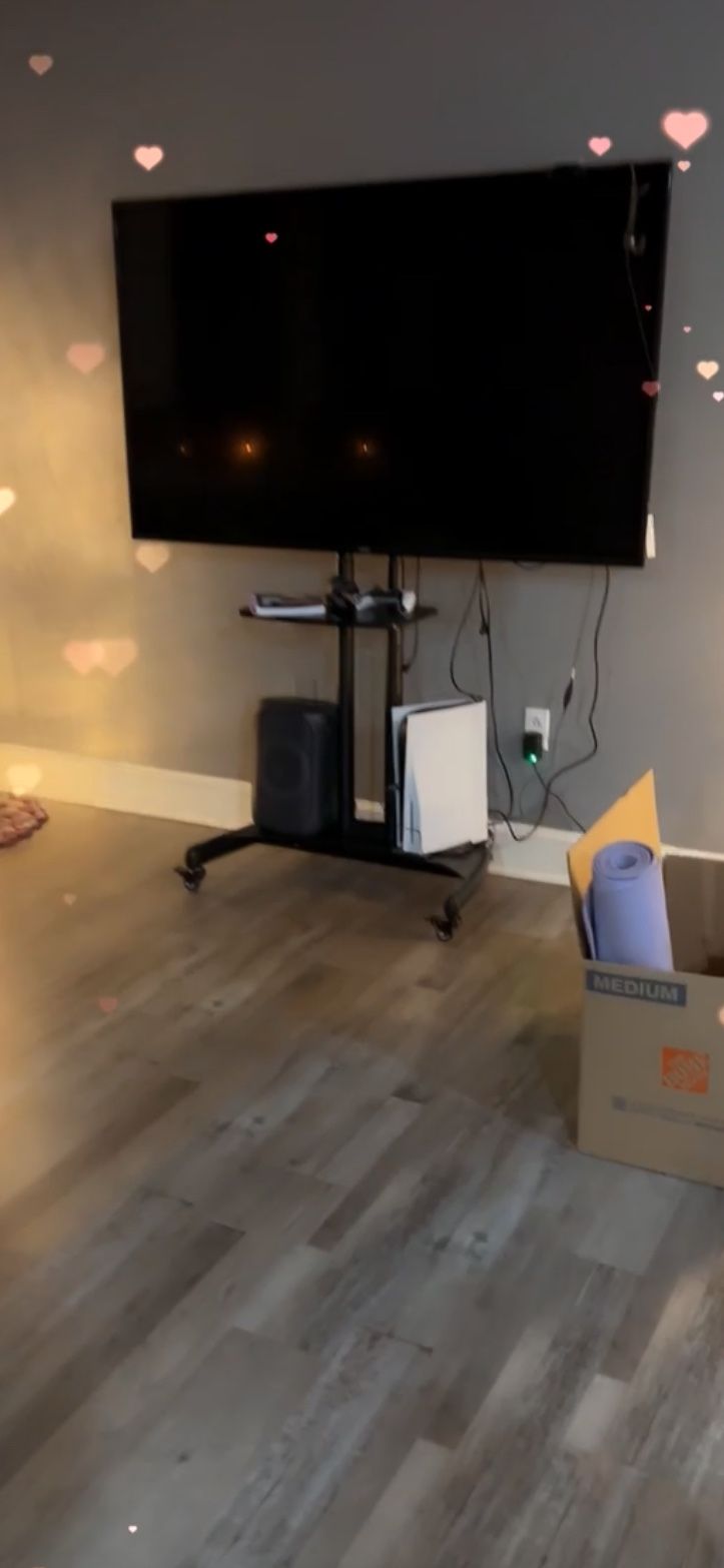 65 Inc Vizio With Mobile Tv Stand