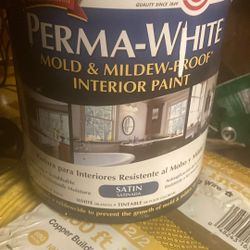 Zinsser Mold Ànd Mildew  White Paint 
